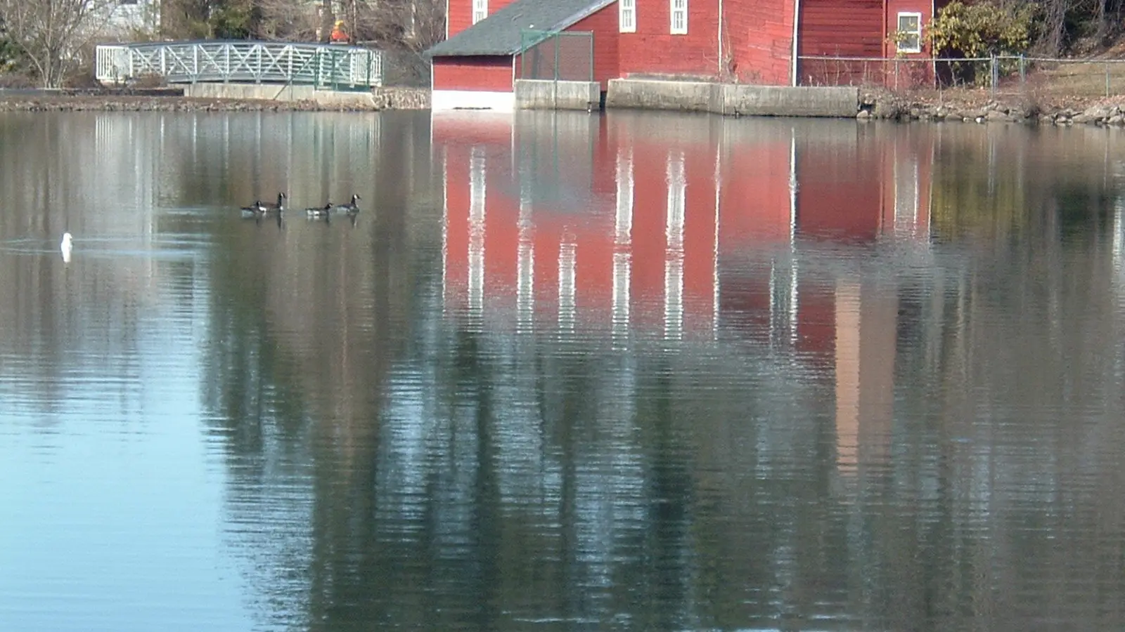 Cooper’s Pond in Bergenfield, New Jersey