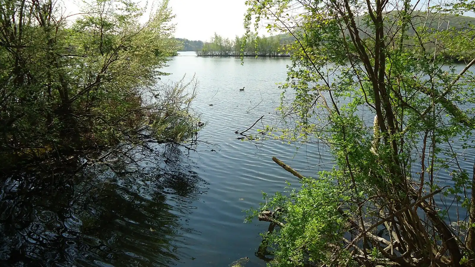 Lake at Franklin Lakes Nature Preserve in Franklin Lakes, New Jersey