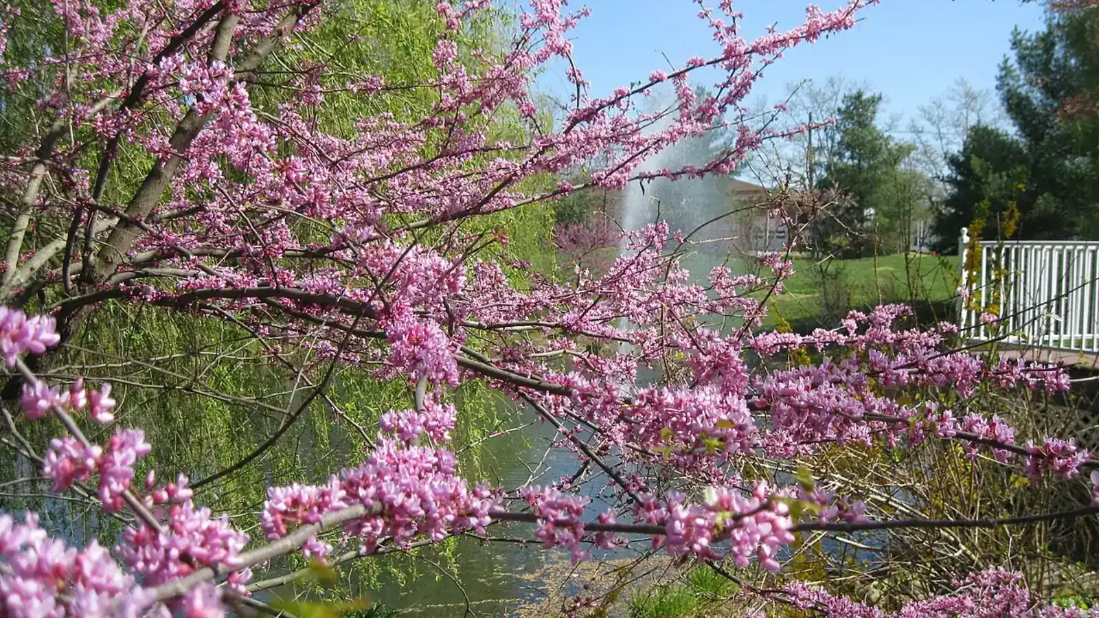 Sayen Park in Hamilton Township, Mercer County, New Jersey