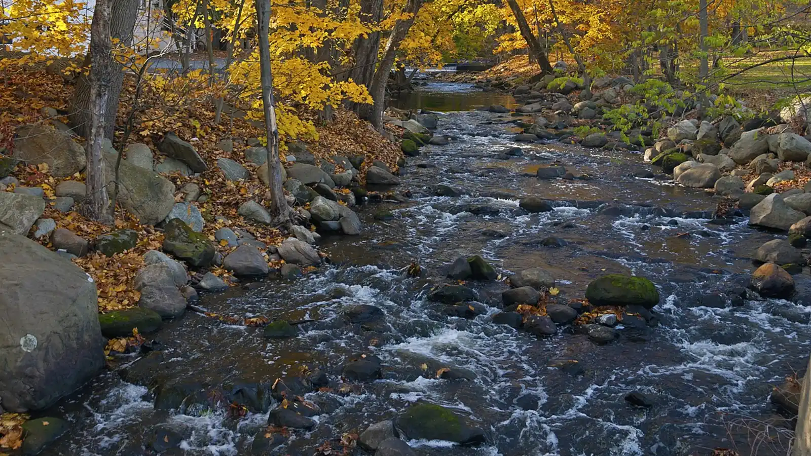 Ho-Ho-Kus Brook in autumn in Ho-Ho-Kus, New Jersey